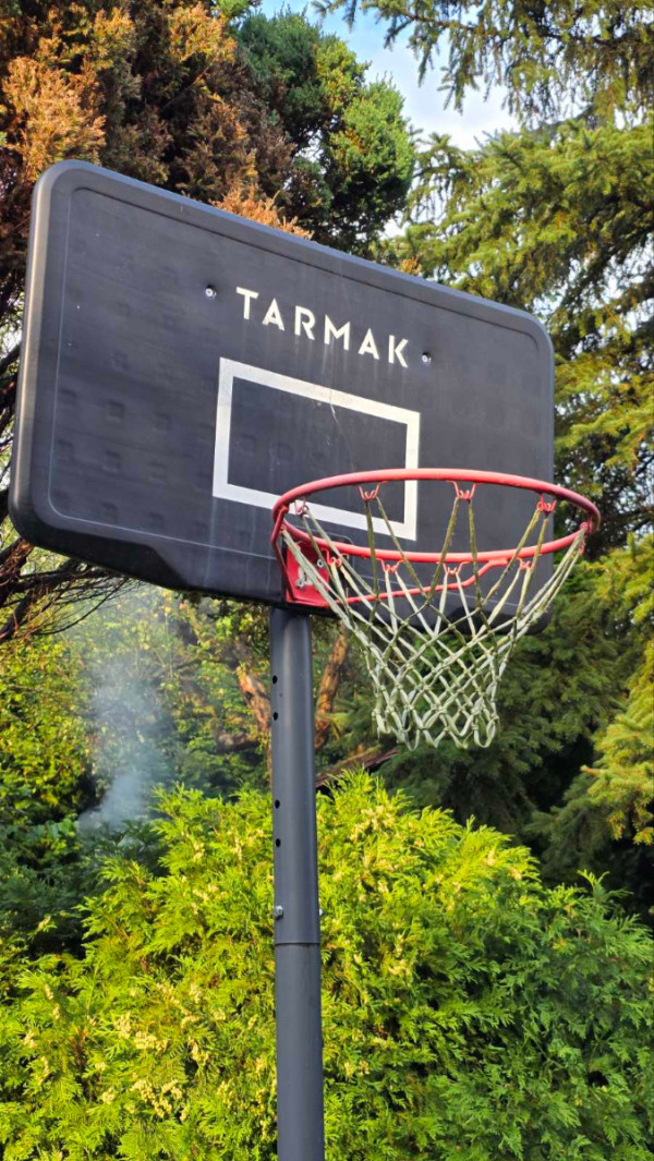 Kosz do koszykuwki B100 Easy